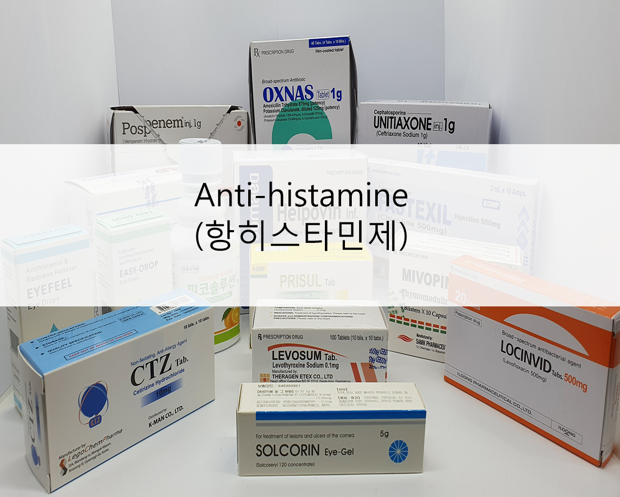 anti_histamine__항히스타민제_.png