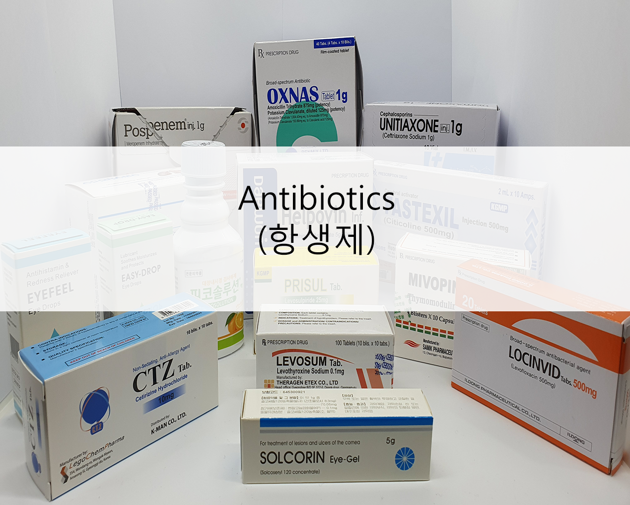 antibiotics_항생제_.png