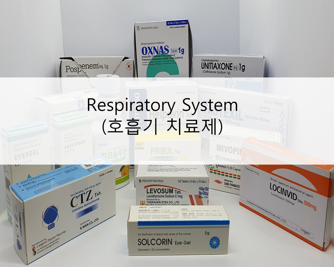 respiratory_system_호흡기_치료제_.png